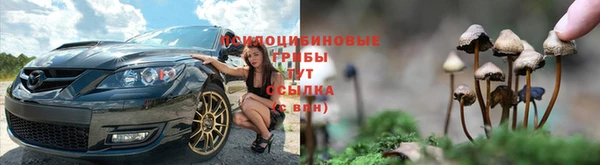 соль ск Белоозёрский