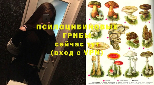 соль ск Белоозёрский