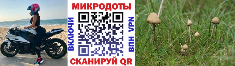 Галлюциногенные грибы MAGIC MUSHROOMS  наркошоп  Воскресенск 